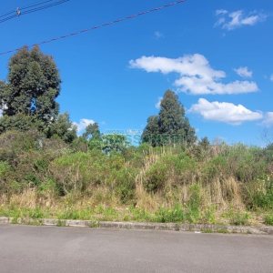 Terreno, no bairro Sanvitto em Caxias do Sul para Comprar