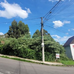 Terreno, no bairro Charqueadas em Caxias do Sul para Comprar
