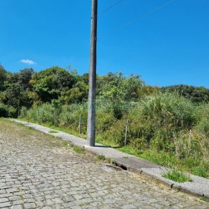 Terreno com 304m², no bairro Desvio Rizzo em Caxias do Sul para Comprar