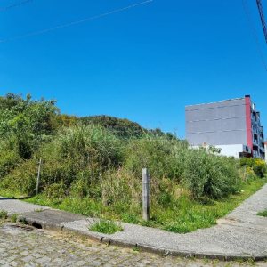 Terreno com 304m², no bairro Desvio Rizzo em Caxias do Sul para Comprar