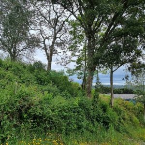 Terreno, no bairro Brandalise em Caxias do Sul para Comprar
