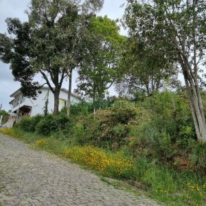 Terreno, no bairro Brandalise em Caxias do Sul para Comprar