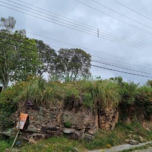 Terreno, no bairro Brandalise em Caxias do Sul para Comprar