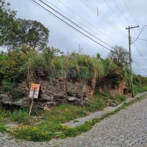 Terreno, no bairro Brandalise em Caxias do Sul para Comprar