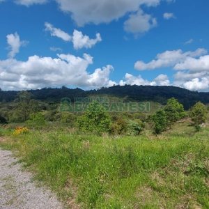 Terreno, no bairro Desvio Rizzo em Caxias do Sul para Comprar