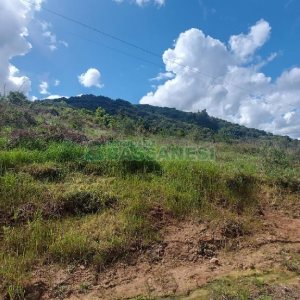 Terreno, no bairro Desvio Rizzo em Caxias do Sul para Comprar