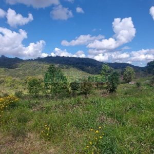 Terreno, no bairro Desvio Rizzo em Caxias do Sul para Comprar