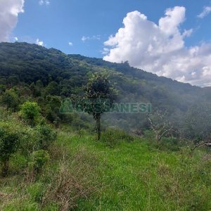 Terreno, no bairro Desvio Rizzo em Caxias do Sul para Comprar