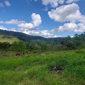 Terreno, no bairro Desvio Rizzo em Caxias do Sul para Comprar