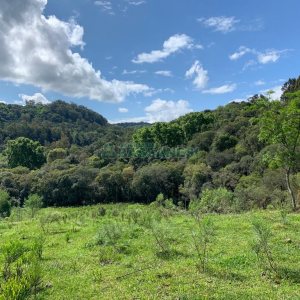 Chácara, no bairro Linha 40 em Caxias do Sul para Comprar