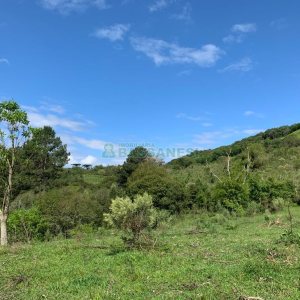Chácara, no bairro Linha 40 em Caxias do Sul para Comprar