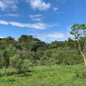 Chácara, no bairro Linha 40 em Caxias do Sul para Comprar
