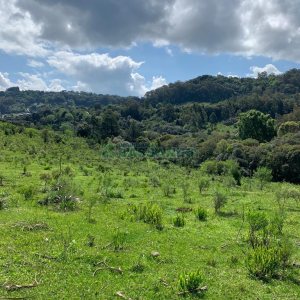 Chácara, no bairro Linha 40 em Caxias do Sul para Comprar