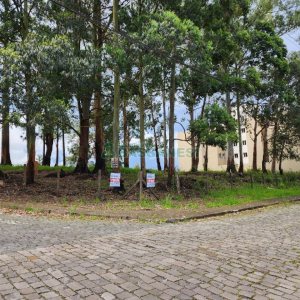 Terreno, no bairro Sanvitto em Caxias do Sul para Comprar