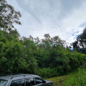 Chácara, no bairro São Caetano em Caxias do Sul para Comprar