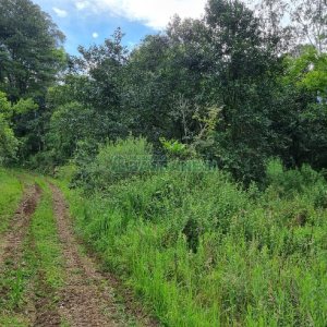 Chácara, no bairro São Caetano em Caxias do Sul para Comprar