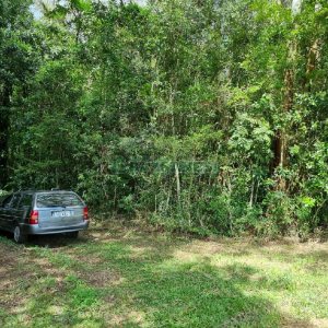 Chácara, no bairro São Caetano em Caxias do Sul para Comprar