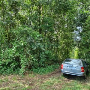 Chácara, no bairro São Caetano em Caxias do Sul para Comprar