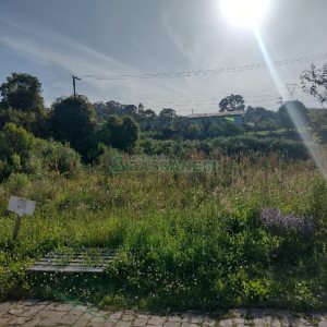 Terreno com 375m², no bairro Nossa Senhora da Saúde em Caxias do Sul para Comprar