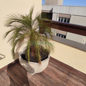 Sobrado com 257m², 4 dormitórios, 3 vagas, no bairro Colina Sorriso em Caxias do Sul para Comprar