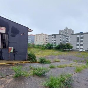Terreno com 1694m², no bairro São Pelegrino em Caxias do Sul para Alugar