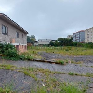 Terreno com 1694m², no bairro São Pelegrino em Caxias do Sul para Alugar