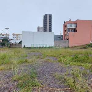 Terreno com 1694m², no bairro São Pelegrino em Caxias do Sul para Alugar