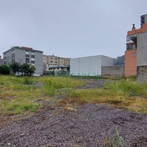 Terreno com 1694m², no bairro São Pelegrino em Caxias do Sul para Alugar
