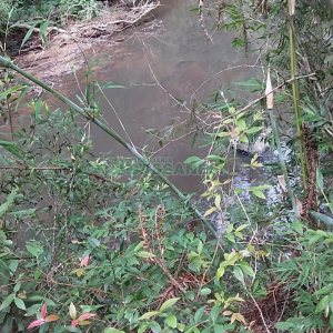 Chácara com 80m², 3 dormitórios, no bairro Pedras Brancas em São Marcos para Comprar