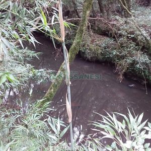Chácara com 80m², 3 dormitórios, no bairro Pedras Brancas em São Marcos para Comprar