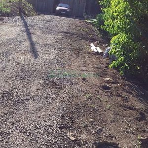 Chácara com 80m², 3 dormitórios, no bairro Pedras Brancas em São Marcos para Comprar