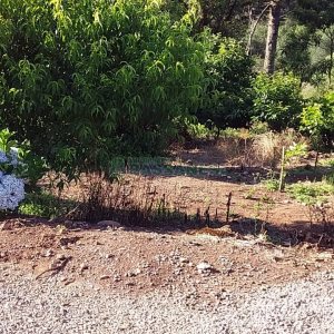 Chácara com 80m², 3 dormitórios, no bairro Pedras Brancas em São Marcos para Comprar