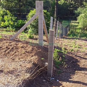 Chácara com 80m², 3 dormitórios, no bairro Pedras Brancas em São Marcos para Comprar