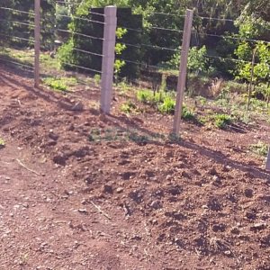 Chácara com 80m², 3 dormitórios, no bairro Pedras Brancas em São Marcos para Comprar