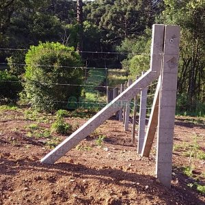 Chácara com 80m², 3 dormitórios, no bairro Pedras Brancas em São Marcos para Comprar