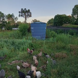 Chácara com 275m², 1 dormitório, 2 vagas, no bairro Criuva em São Marcos para Comprar