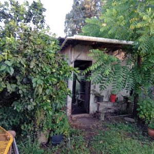 Chácara com 275m², 1 dormitório, 2 vagas, no bairro Criuva em São Marcos para Comprar