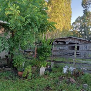 Chácara com 275m², 1 dormitório, 2 vagas, no bairro Criuva em São Marcos para Comprar