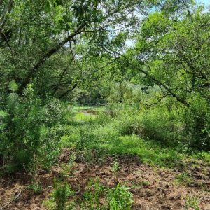 Chácara, no bairro Ana Rech em Caxias do Sul para Comprar