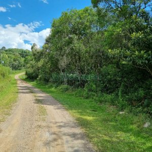 Chácara, no bairro Ana Rech em Caxias do Sul para Comprar
