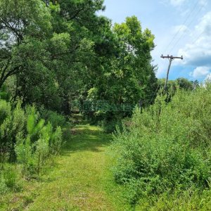 Chácara, no bairro Ana Rech em Caxias do Sul para Comprar