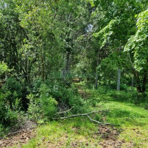Chácara, no bairro Ana Rech em Caxias do Sul para Comprar