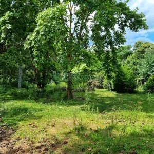 Chácara, no bairro Ana Rech em Caxias do Sul para Comprar