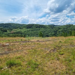 Chácara, no bairro Ana Rech em Caxias do Sul para Comprar