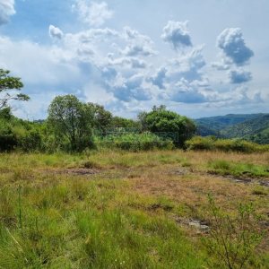 Chácara, no bairro Ana Rech em Caxias do Sul para Comprar