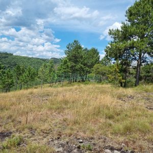 Chácara, no bairro Ana Rech em Caxias do Sul para Comprar