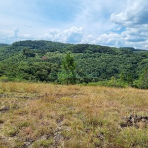 Chácara, no bairro Ana Rech em Caxias do Sul para Comprar