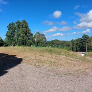 Terreno com 1500m², no bairro Nossa Senhora das Graças em Caxias do Sul para Alugar