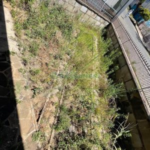 Casa com 130m², 3 dormitórios, 1 vaga, no bairro Rio Branco em Caxias do Sul para Comprar