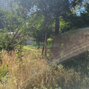 Casa com 100m², 3 dormitórios, 2 vagas, no bairro Centro em Caxias do Sul para Comprar